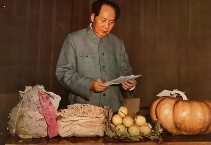 毛主席看豐收喜信 毛主席看豐收喜信